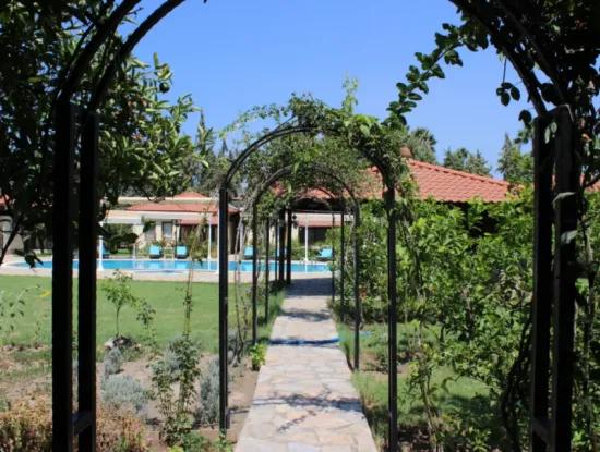 Bahçe Fotoğrafları